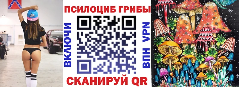 Галлюциногенные грибы прущие грибы  Новороссийск 