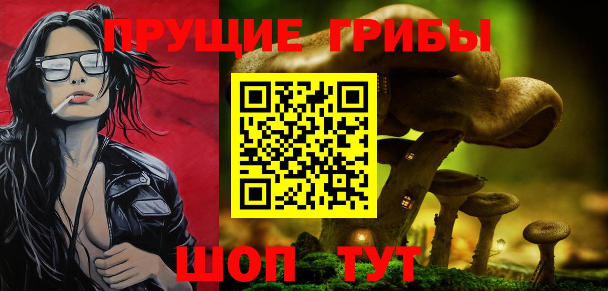 Новороссийск  Галлюциногенные грибы ЛСД  наркотики  Вход с VPN  Галлюциногенные грибы Psilocybine cubensis 